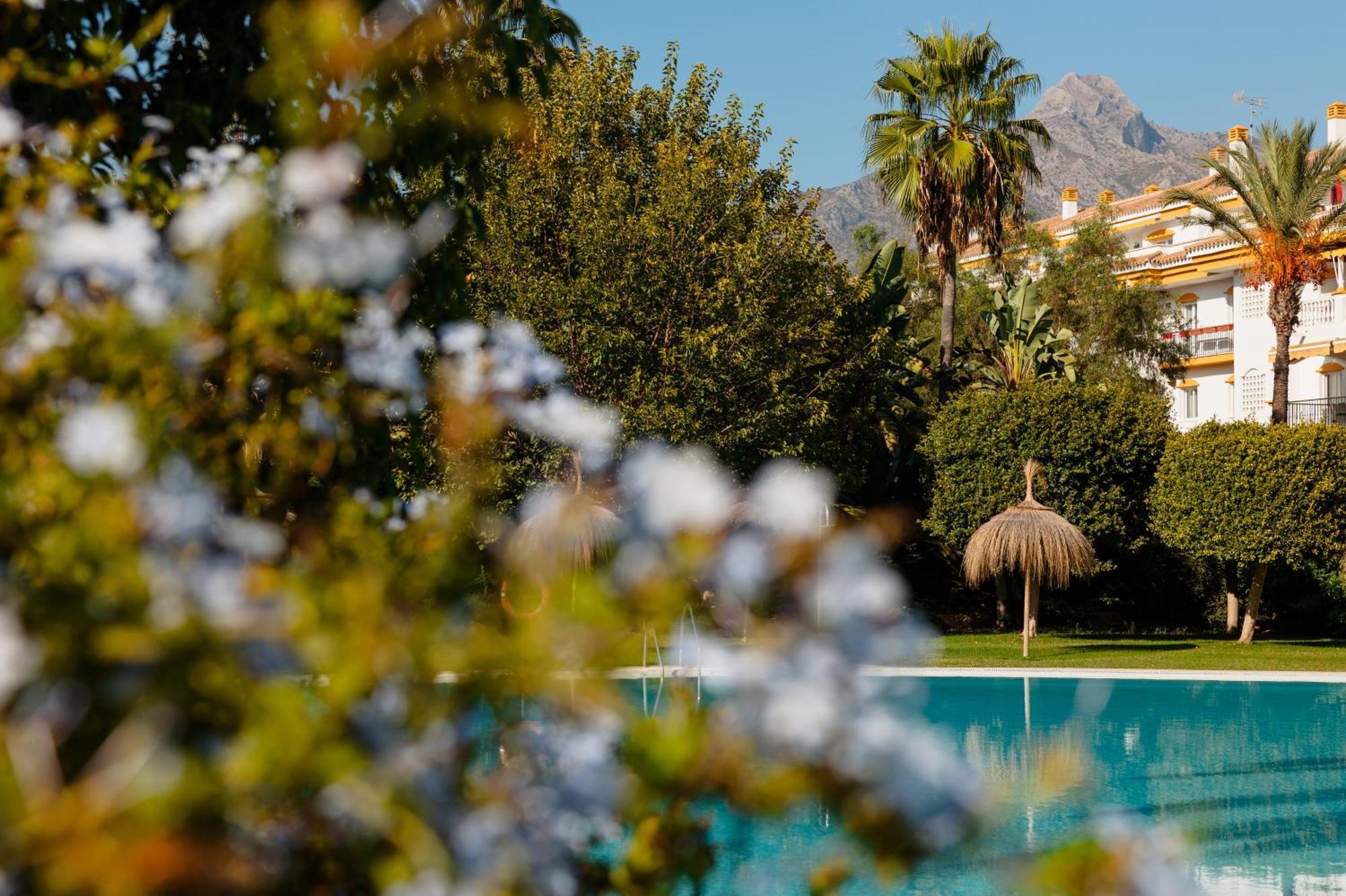 Ground Floor Holiday Apartment With Terrace And Pool In Puerto Banus, Marbella Eksteriør billede